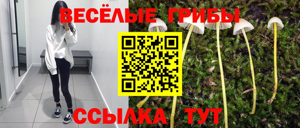Псилоцибиновые грибы мицелий Нововоронеж
