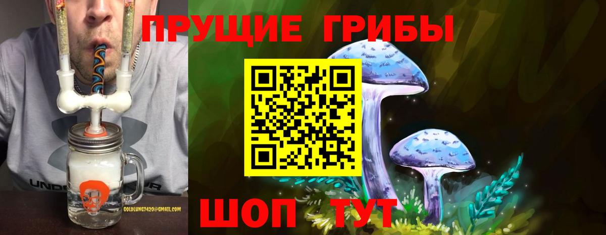 Галлюциногенные грибы Magic Shrooms  Вход с VPN  Нововоронеж 